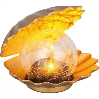 toom Baumarkt Toom Solar-Dekolicht Muschel Angebot