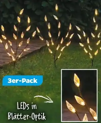 NETTO Garden Dream Solar-Blätterzweige Angebot