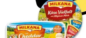 NETTO Milkana Frischeschalen Angebot