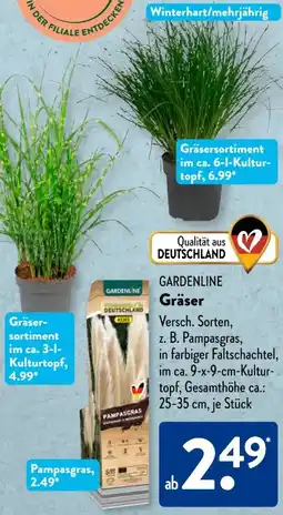 Aldi Süd Gardenline Gräser Angebot