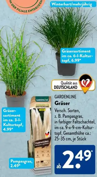Aldi Süd Gardenline Gräser Angebot