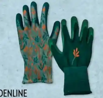 Aldi Süd Gardenline Gartenhandschuhe Angebot