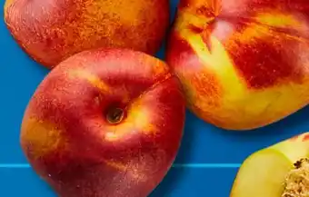Aldi Süd Nektarinen Angebot