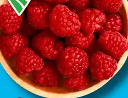 Aldi Süd Bestes aus der Region Himbeeren Angebot