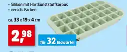 Thomas Philipps Eiswürfelform Angebot