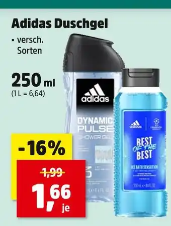 Thomas Philipps Adidas duschgel dynamic pulse Angebot