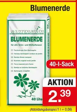 Zimmermann Garten grün blumenerde Angebot