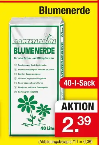 Zimmermann Garten grün blumenerde Angebot