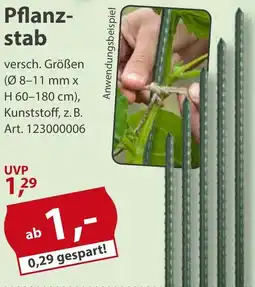 Sonderpreis Baumarkt Pflanzstab Angebot