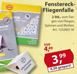 Sonderpreis Baumarkt WECO Fenstereck Fliegenfalle Angebot