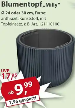 Sonderpreis Baumarkt Blumentopf ,,Milly" Angebot