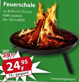 Sonderpreis Baumarkt Feuerschale Angebot