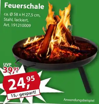 Sonderpreis Baumarkt Feuerschale Angebot
