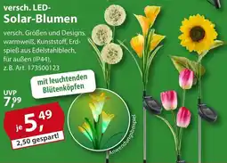 Sonderpreis Baumarkt versch. LED Solar-Blumen Angebot