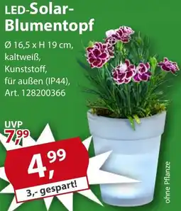 Sonderpreis Baumarkt LED-Solar Blumentopf Angebot