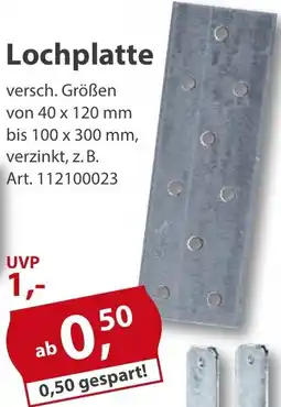 Sonderpreis Baumarkt Lochplatte Angebot