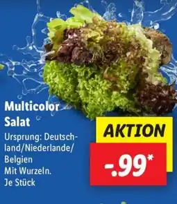 Lidl Multicolor Salat Angebot