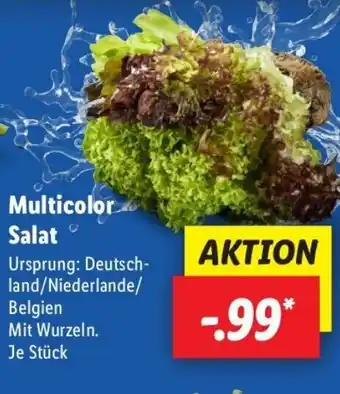Lidl Multicolor Salat Angebot