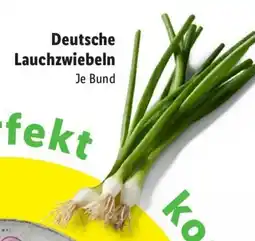 Lidl Deutsche Lauchzwiebeln Angebot