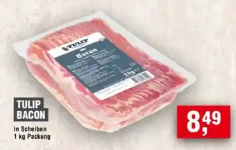 Handelshof TULIP Bacon Angebot