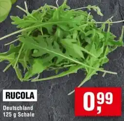Handelshof RUCOLA Angebot