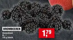 Handelshof BROMBEEREN Angebot
