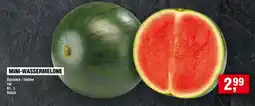 Handelshof MINI-WASSERMELONE Angebot