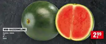 Handelshof MINI-WASSERMELONE Angebot