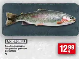 Handelshof LACHSFORELLE Angebot