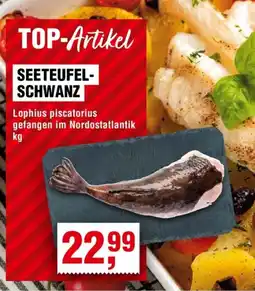 Handelshof SEETEUFEL- SCHWANZ Angebot