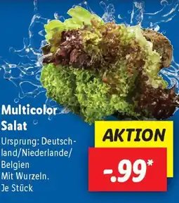 Lidl Multicolor Salat Angebot