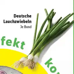 Lidl Deutsche Lauchzwiebeln Angebot