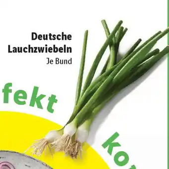 Lidl Deutsche Lauchzwiebeln Angebot
