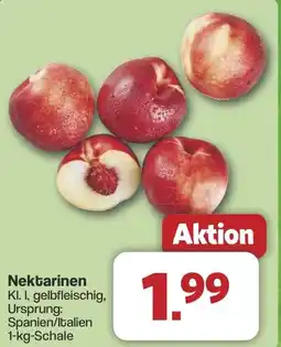 Famila Nord West Nektarinen Angebot