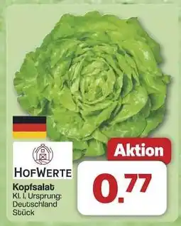 Famila Nord Ost Kopfsalat Angebot