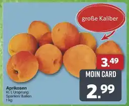 Famila Nord Ost Aprikosen Angebot