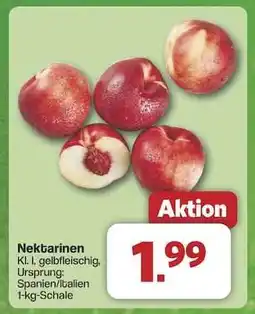 Famila Nord Ost Nektarinen Angebot