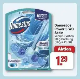 Famila Nord Ost Domestos Power 5 WC Stein Angebot