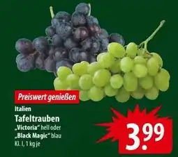 Famila Nord Ost Tafeltrauben Angebot
