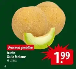 Famila Nord Ost Galia-melone Angebot