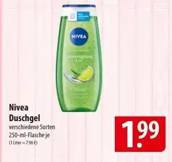 Famila Nord Ost Nivea Duschgel Angebot