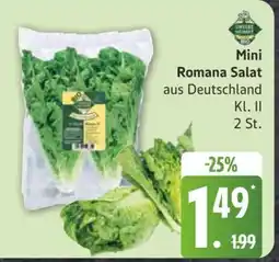 Edeka Mini- Romana- salat Angebot