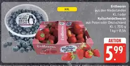 Edeka Erdbeeren und Kulturheidelbeeren Angebot
