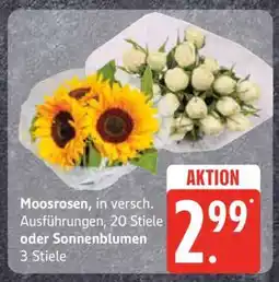 Edeka Moosrosen oder Sonnenblumen Angebot