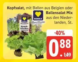 Edeka Kopfsalat mit Ballen oder Ballensalat Mix Angebot