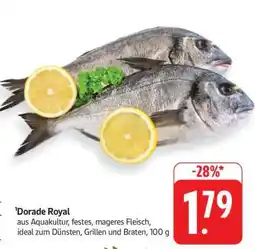 Edeka Dorade Royal Angebot