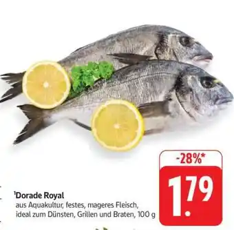 Edeka Dorade Royal Angebot