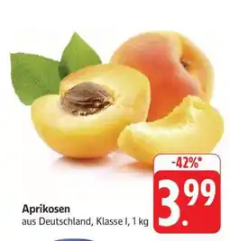 Edeka Aprikosen Angebot