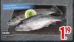 Edeka Frische Forelle Angebot
