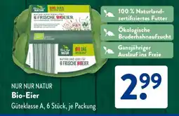 Aldi Süd Bio-Eier Angebot